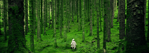 Il percorso di discernimento