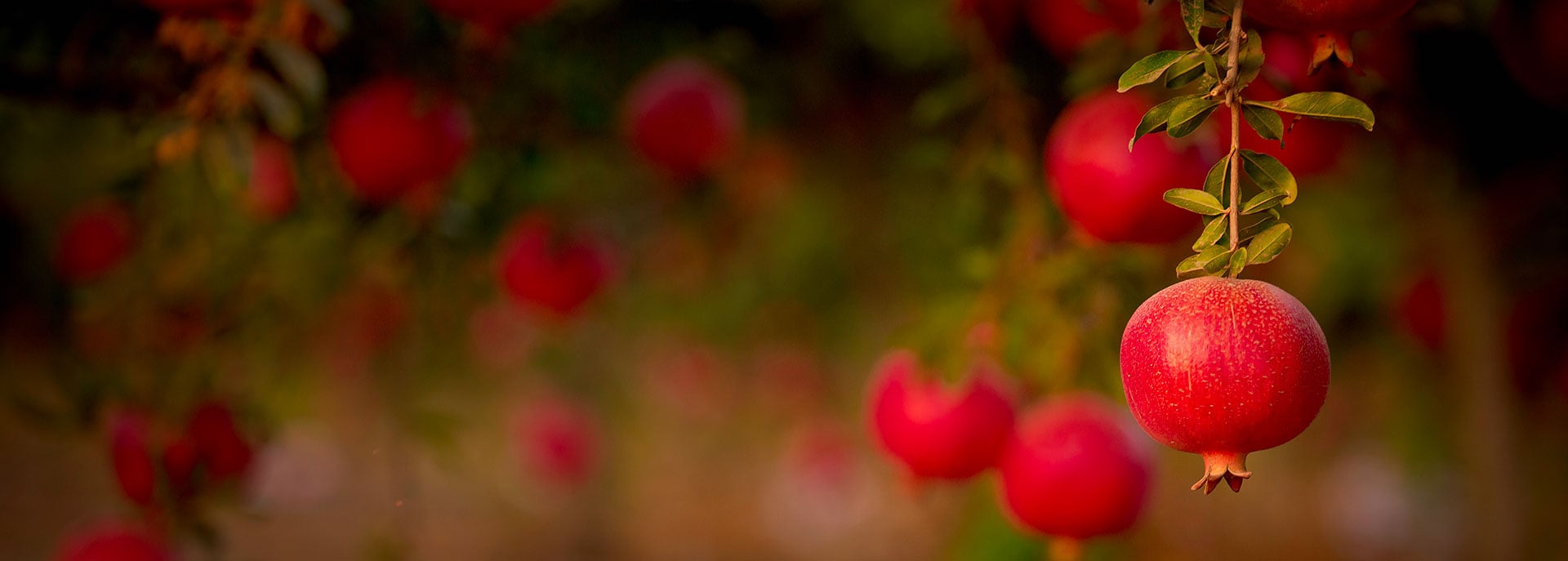 slider_contatti slider_contatti