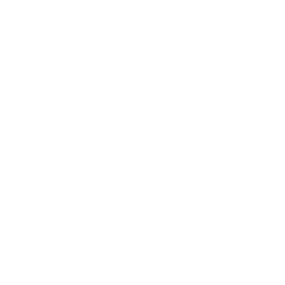 Piede sinistro