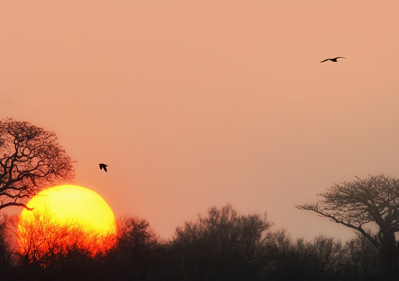 bg_tramonto-1 bg_tramonto-1